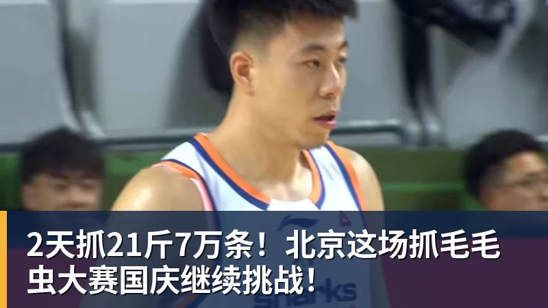 2天抓21斤7万条！北京这场抓毛毛虫大赛国庆继续挑战！